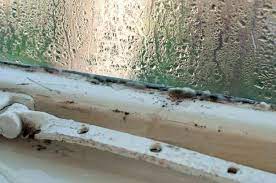 UK Government guidance: Understanding and addressing the health risks of damp and mould in the home